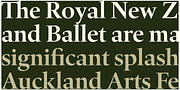 Quant, a Serif Font by Hoftype (Thumbnail 2 of 6)
