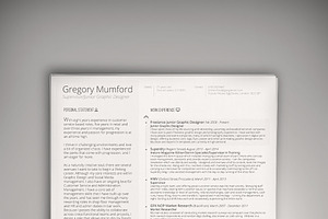 The Professional 2 (PSD + WORD DOC)