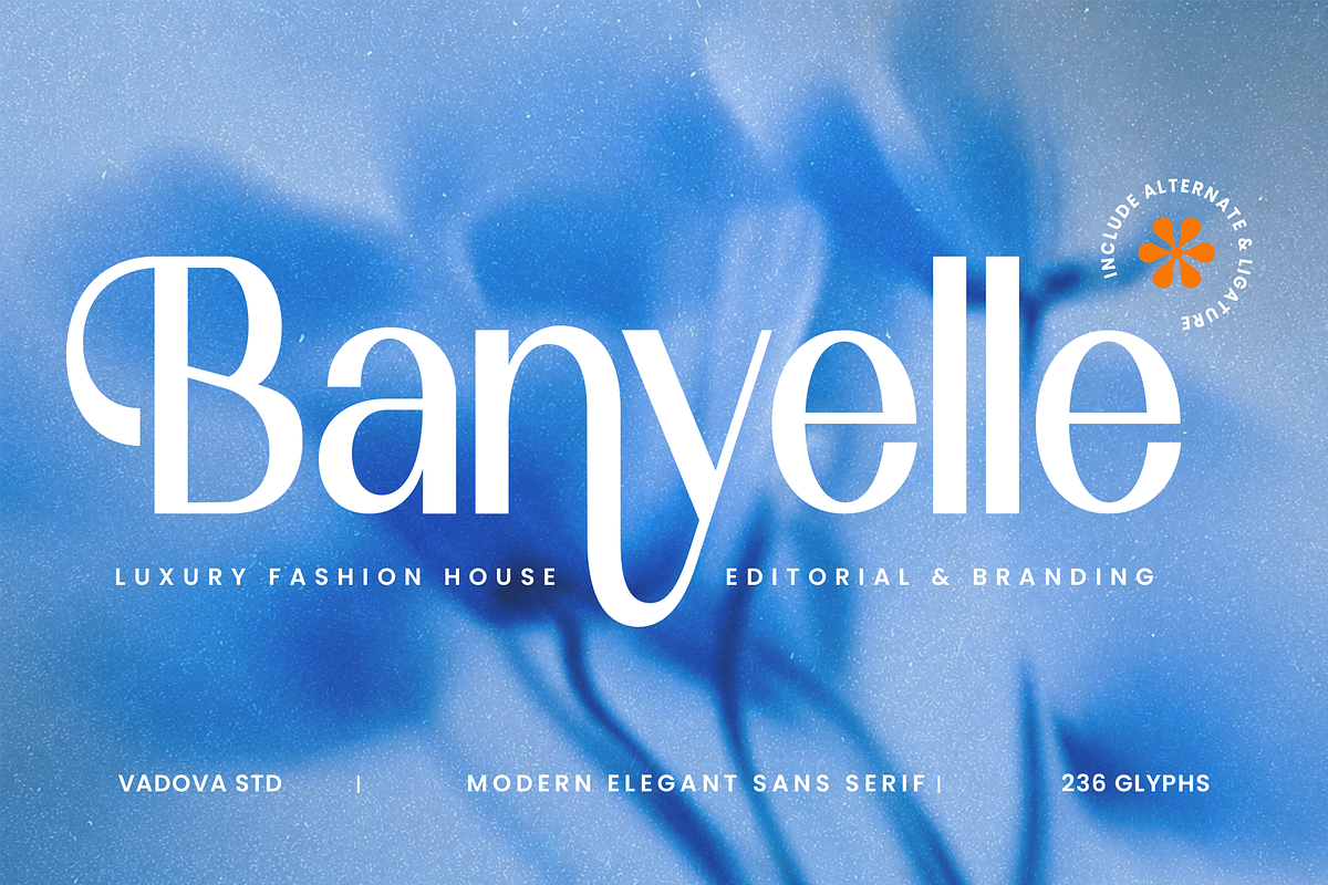 Banyelle Modern Elegant Sans Font, a Sans Serif Font by Vadovastd (Photo 1 of 9)