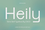 Heily – Grotesque Sans Serif, a Sans Serif Font by Craft Supply Co. (Thumbnail 1 of 8)