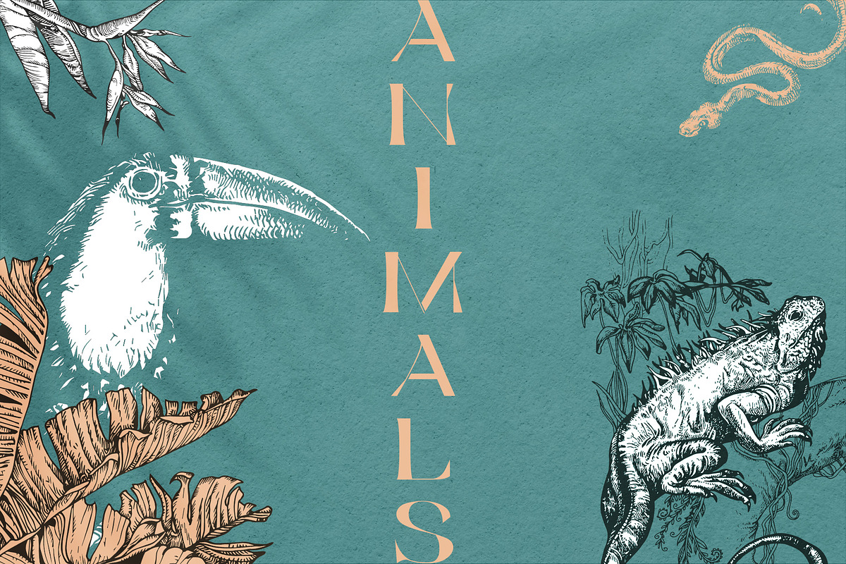 Tropica Collection, a Seasonal Illustration by Michael Rayback Design (Photo 9 of 15)