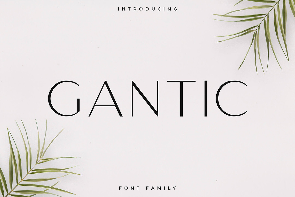 Gantic Font Family - Sans Serif