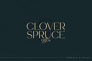 SALE! Font Bundle Vol.3 - 30 fonts, a Serif Font by Only Fonts (Thumbnail 5 of 35)