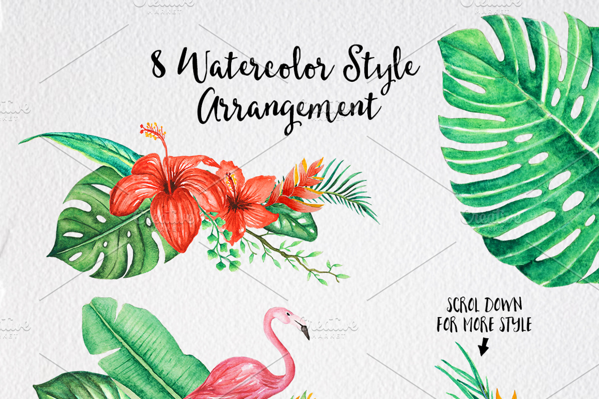 TROPICAL Watercolor clip art pack, an Illustration by andypray (Photo 2 of 9)