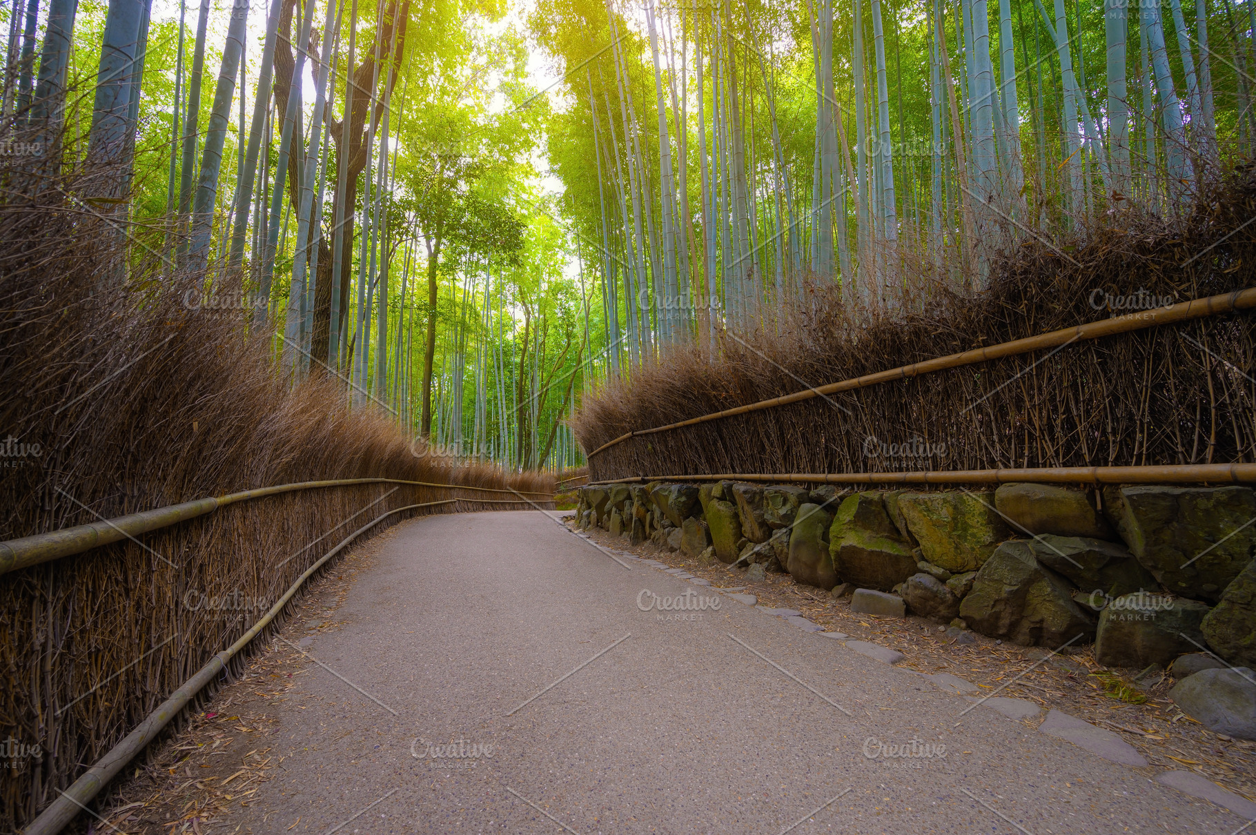 Path in bamboo forest in Arashiyama, a Nature Photo by KHphotography