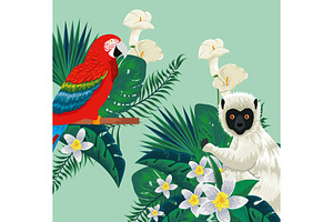 Parrot And Lemur Animals With