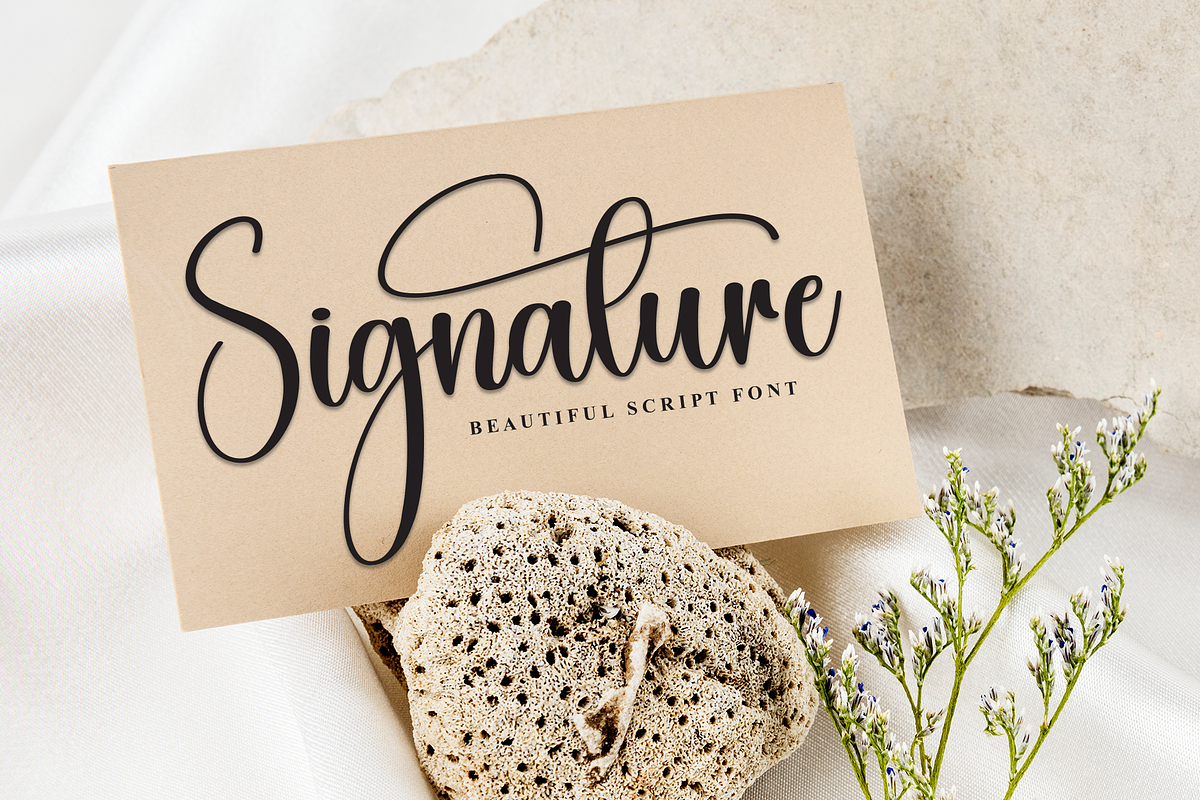 Beautica | Script Font, a Handwritten Font by Scratchones (Photo 5 of 9)