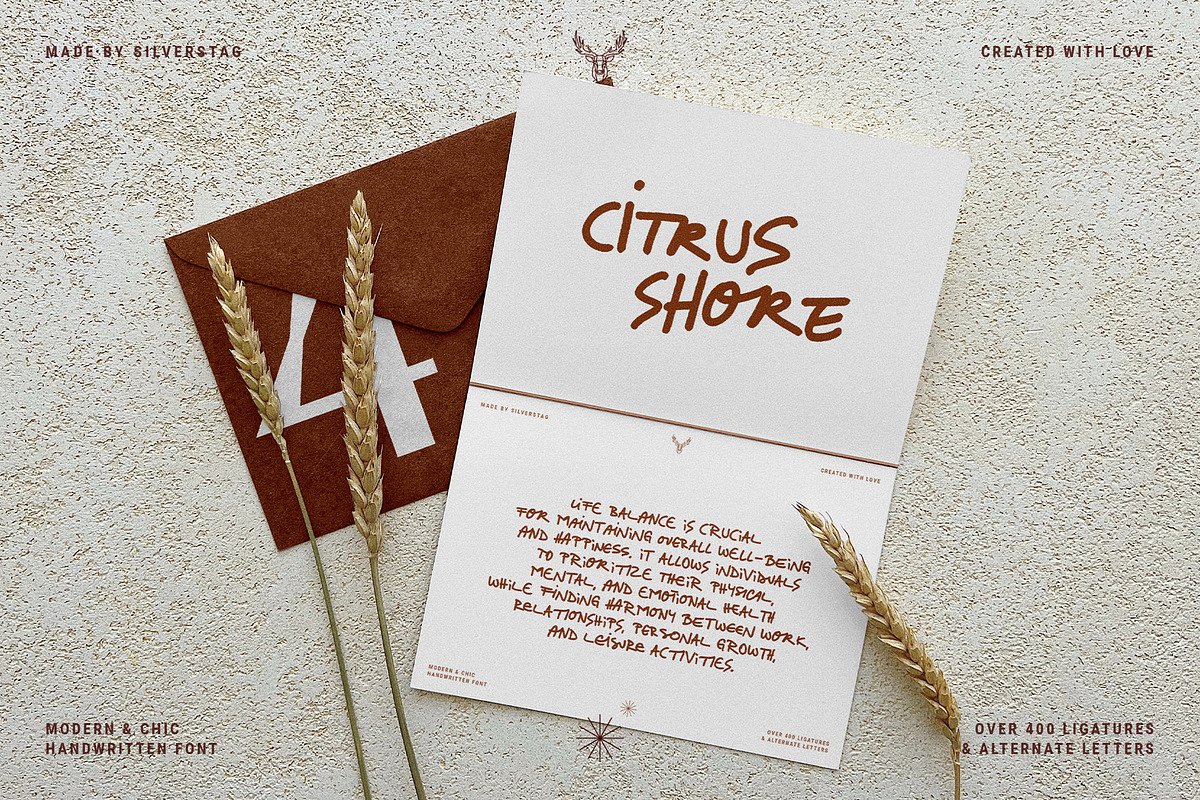Citrus Shore - Playful Marker Font, a Handwritten Font by SilverStag Type Foundry (Photo 2 of 15)
