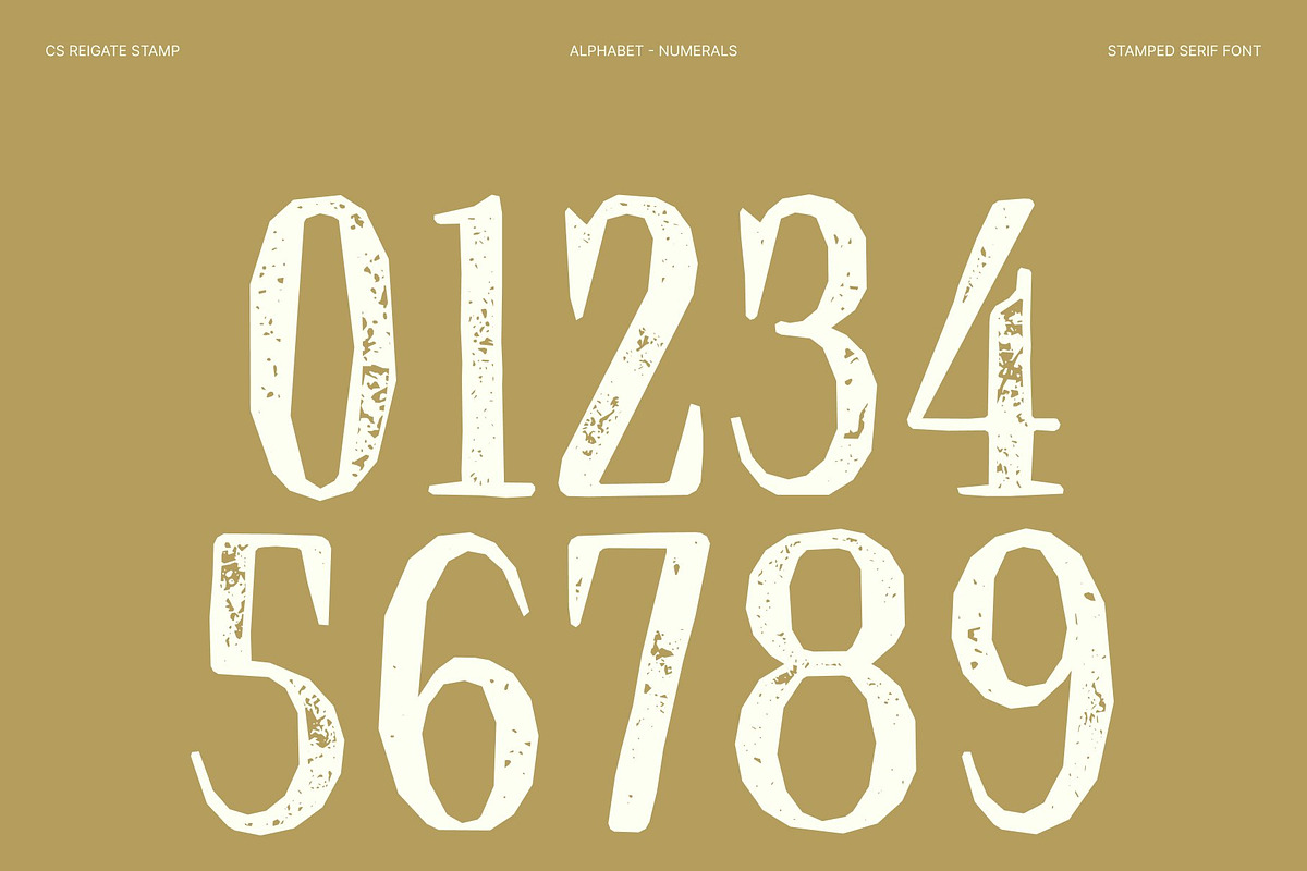CS Reigate Stamp, a Serif Font by Craft Supply Co. (Photo 5 of 8)