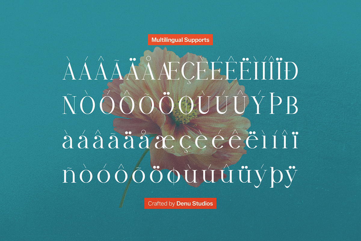 Lyodia Lover | Modern Display Serif, a Serif Font by Denustudios (Photo 10 of 11)