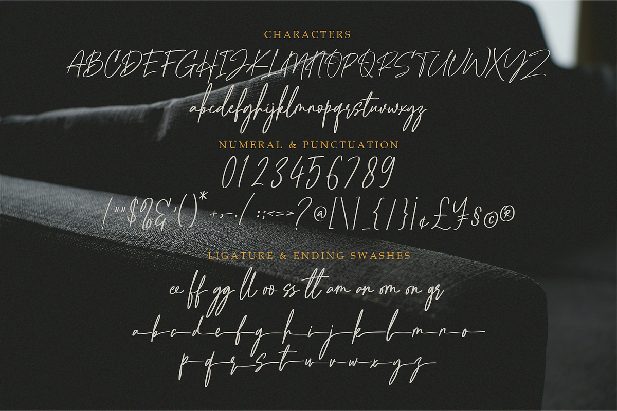Lumberton - Authentic Signature, a Handwritten Font by MJB Letters (Photo 11 of 11)