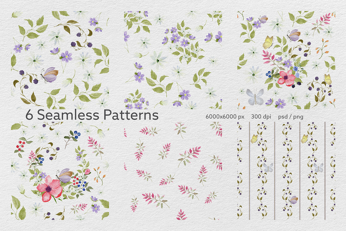 Wildflower & Butterfly Collection, a Decorative Illustration by Nadia Semyroz (Photo 7 of 12)