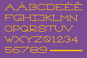 SEQUOIA RED - Font Family, a Serif Font by CandiesnPixels (Thumbnail 3 of 10)