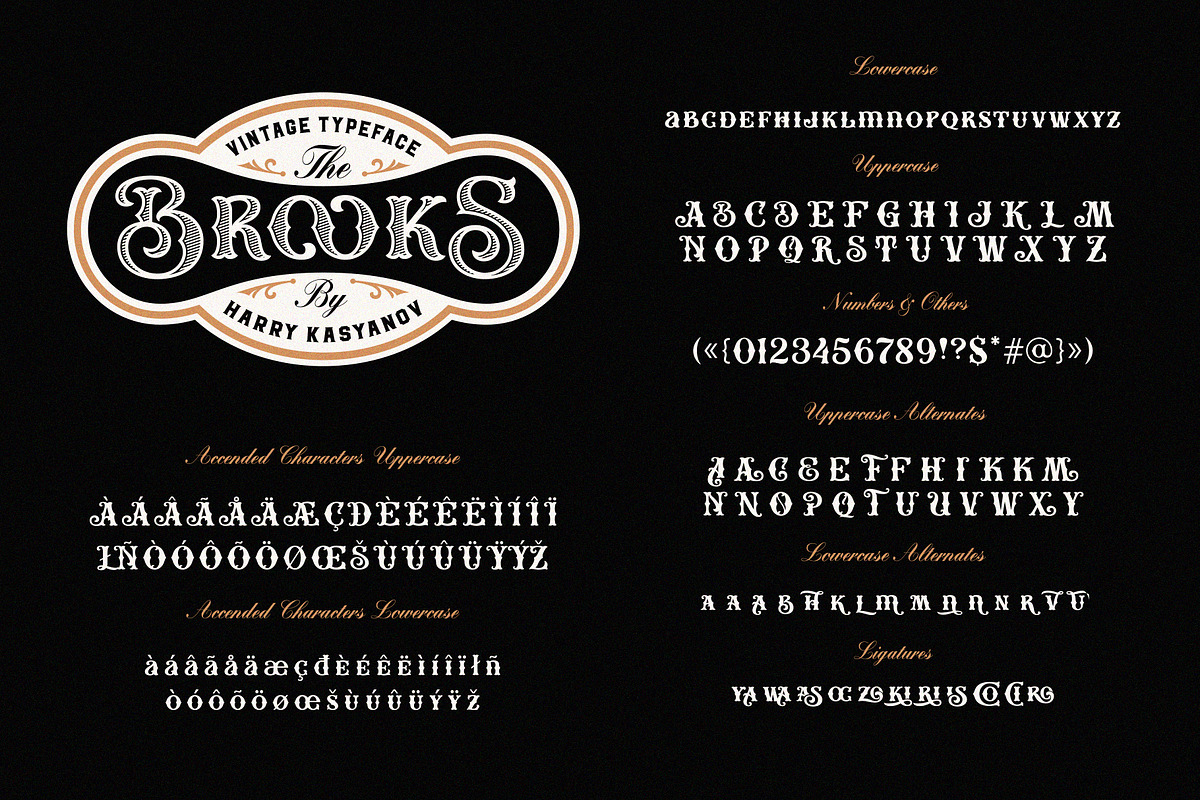 Vintage Fonts & Graphics Bundle, a Handwritten Font by Harry Kasyanov (Photo 6 of 16)