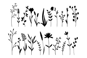 Botanical silhouette set of, an Object Illustration by Tati_Kli