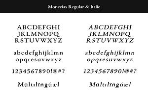 Monecias - Natural Hand Drawn Serif