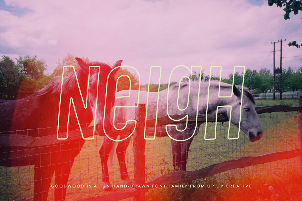 Goodwood Sans Serif Font Family, a Sans Serif Font by Up Up Creative (Photo 11 of 16)