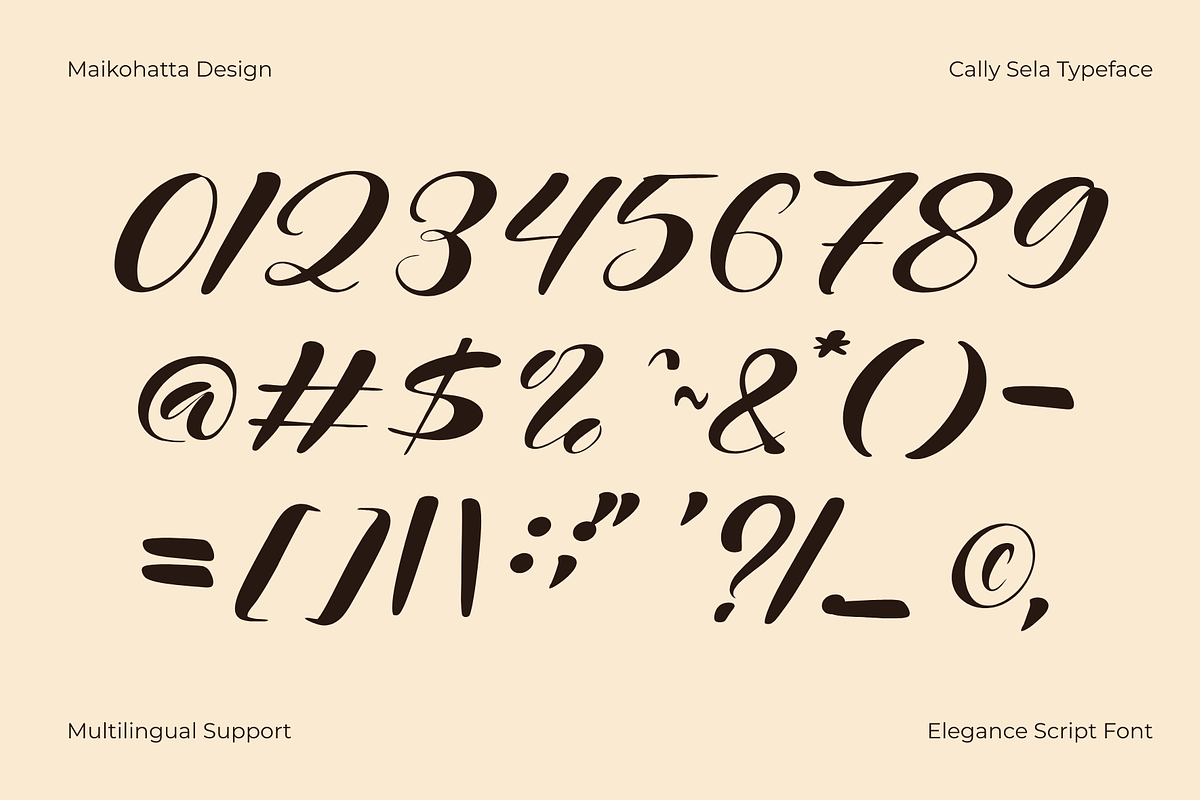 Cally Sela – Modern Calligraphy Font, a Script Font by MaikoHatta (Photo 5 of 8)