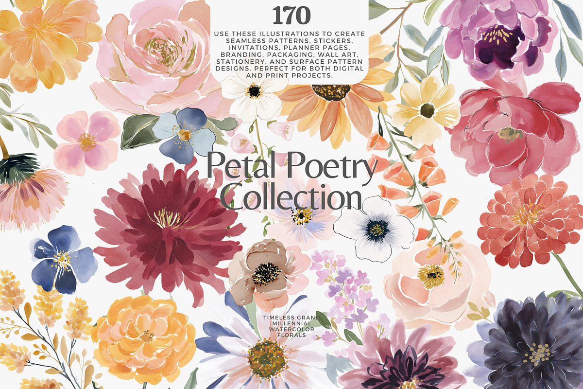 watercolor floral clipart set, a Decorative Illustration by Patishop Art (Photo 1 of 10)