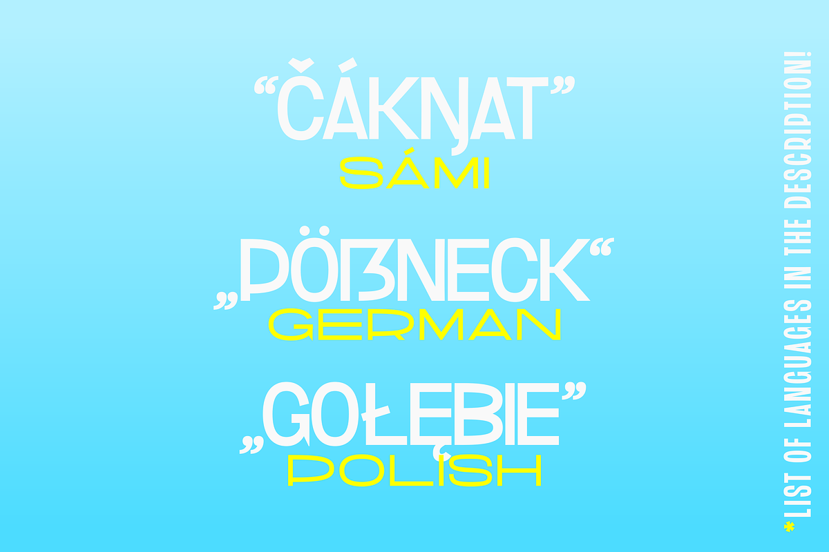 Extravalligator - Variable Font, a Sans Serif Font by Suolahti Type (Photo 5 of 8)