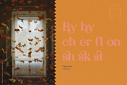 By Lush - Modern Cute Serif, a Serif Font by The Fooltype (Thumbnail 9 of 12)