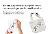 Cute Doodle Springer Spaniels, an Animal Illustration by Liz Pengilley Studio (Thumbnail 4 of 4)