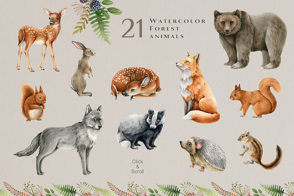 Forest Animals Watercolor Clipart, an Animal Illustration by AnitaPol (Photo 2 of 19)