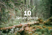 10 x Forest Film Photo Pack, a Nature Photo by GoodMomentShop (Thumbnail 4 of 4)
