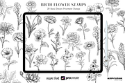 Birth Flower Procreate Brush Stamps, a Brush Add-On by Murphy & Frank (Thumbnail 1 of 4)