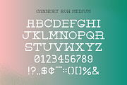 Cannery Row Slab Serif Display Font, a Slab Serif Font by Holt510 (Thumbnail 5 of 11)