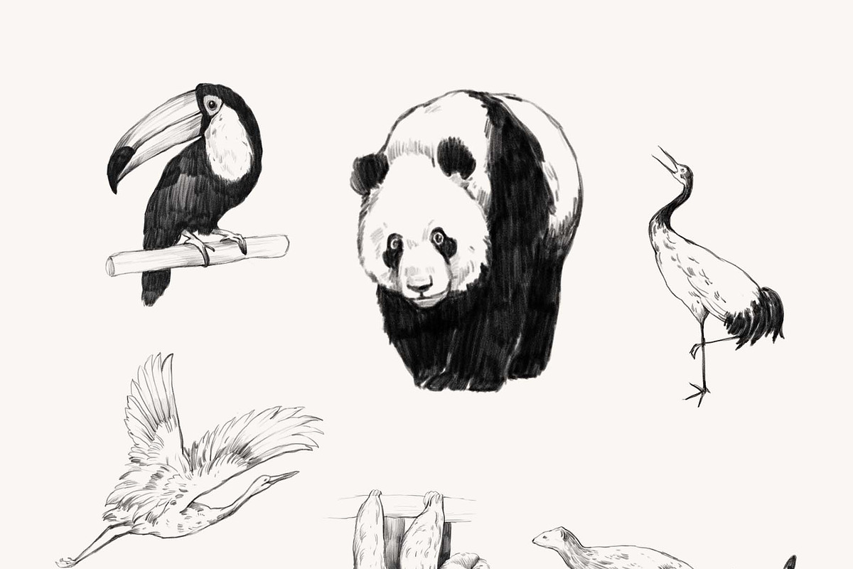 Animal World Map Creator, an Animal Illustration by Natalia Tugova (Photo 14 of 17)