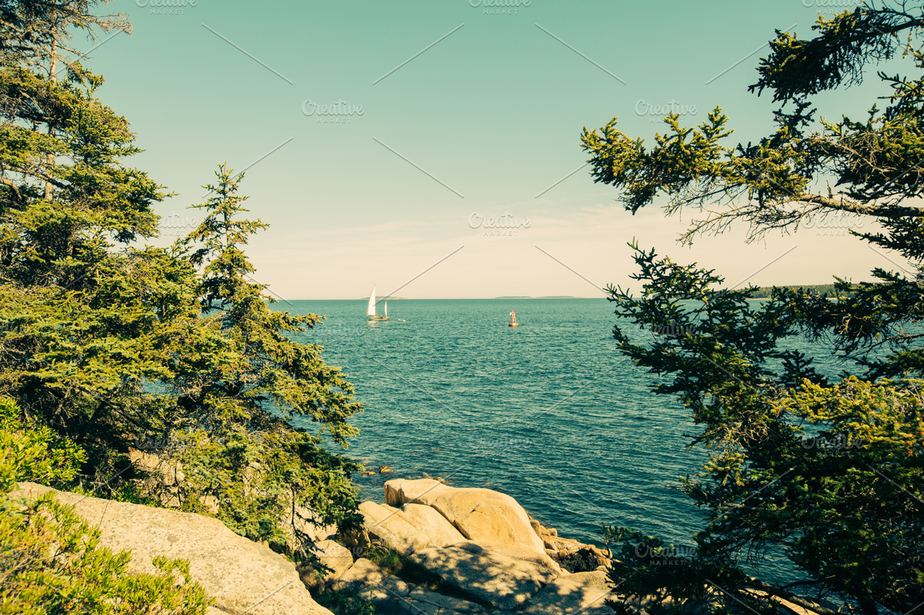Ocean through the trees containing acadia, national park, and atlantic ocean, a Nature Photo by Moth Owl Photography