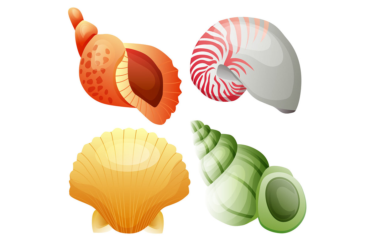 sea shell and star fish icon element, an Object Graphic by Propylparaben (Photo 4 of 5)