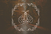 Autumn botanical hand-drawn graphics, a Decorative Illustration by CapriceMeDesigns (Thumbnail 4 of 11)