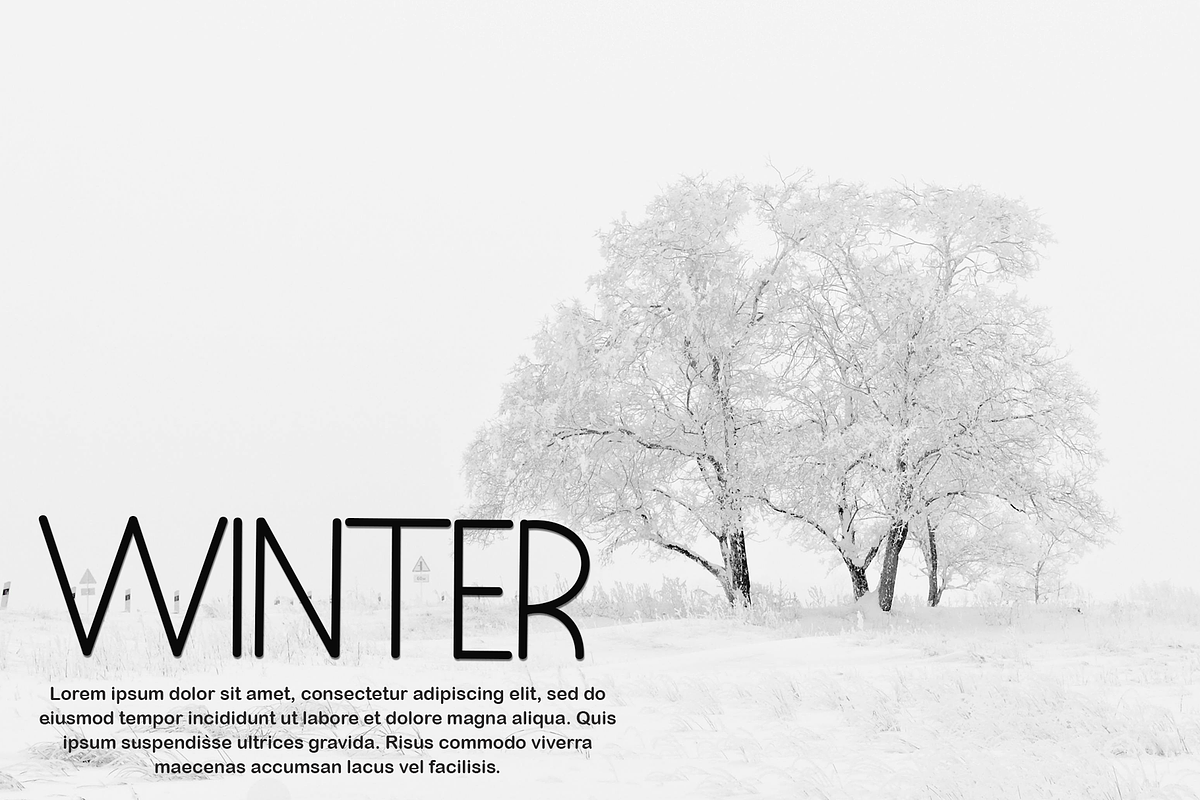 WILDWOOD, a Sans Serif Font by FreshTypeINK (Photo 1 of 8)