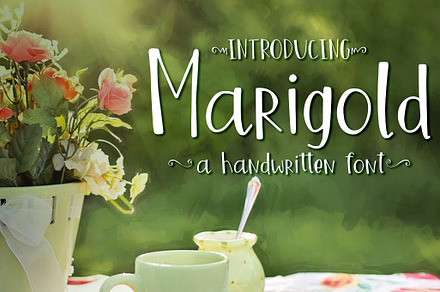 Marigold Font
