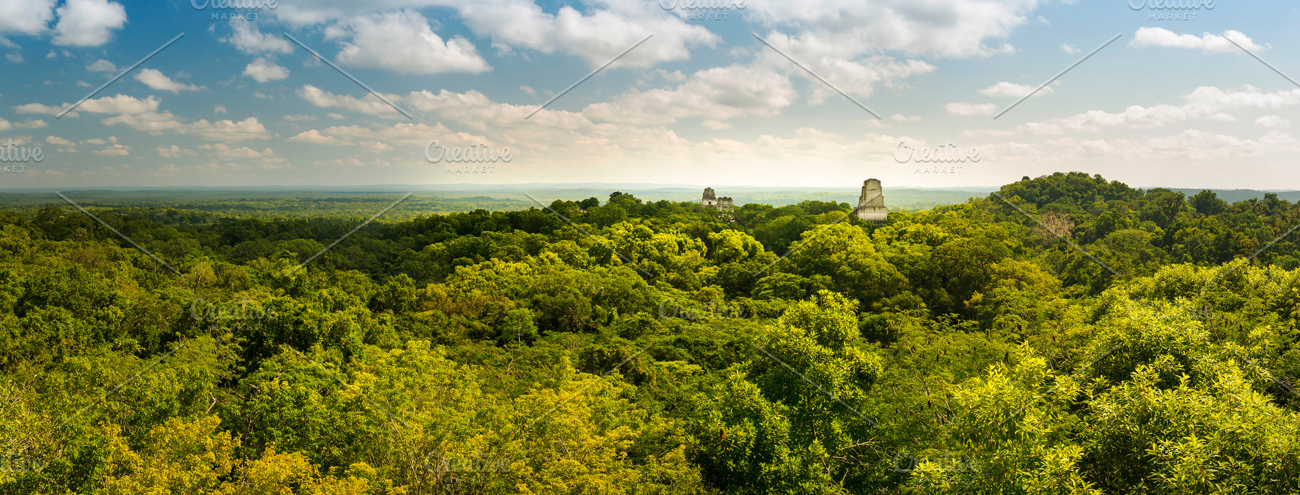 Tikal Guatemala Panorama, an Architecture Photo by THP Creative