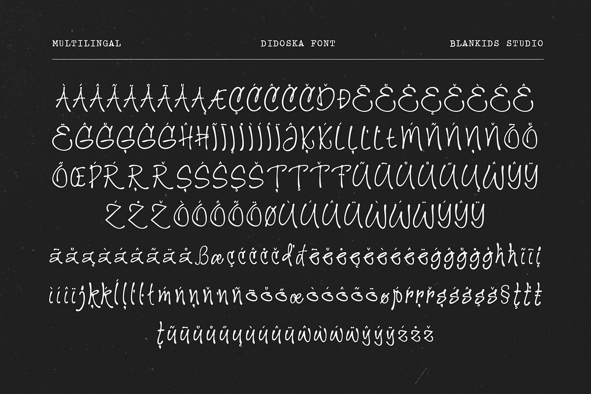 Didoska – Editorial Handwriting Font, a Handwritten Font by Blankids Studio (Photo 12 of 12)