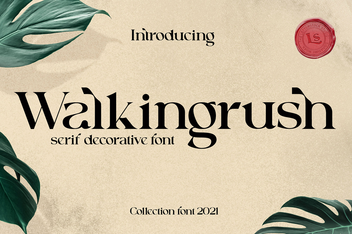 Walkingrush, a Sans Serif Font by LetterStock (Photo 1 of 7)