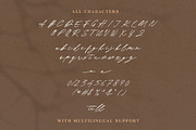 Bella Rose - Minimalist Signature, a Script Font by Bale Type (Thumbnail 11 of 11)