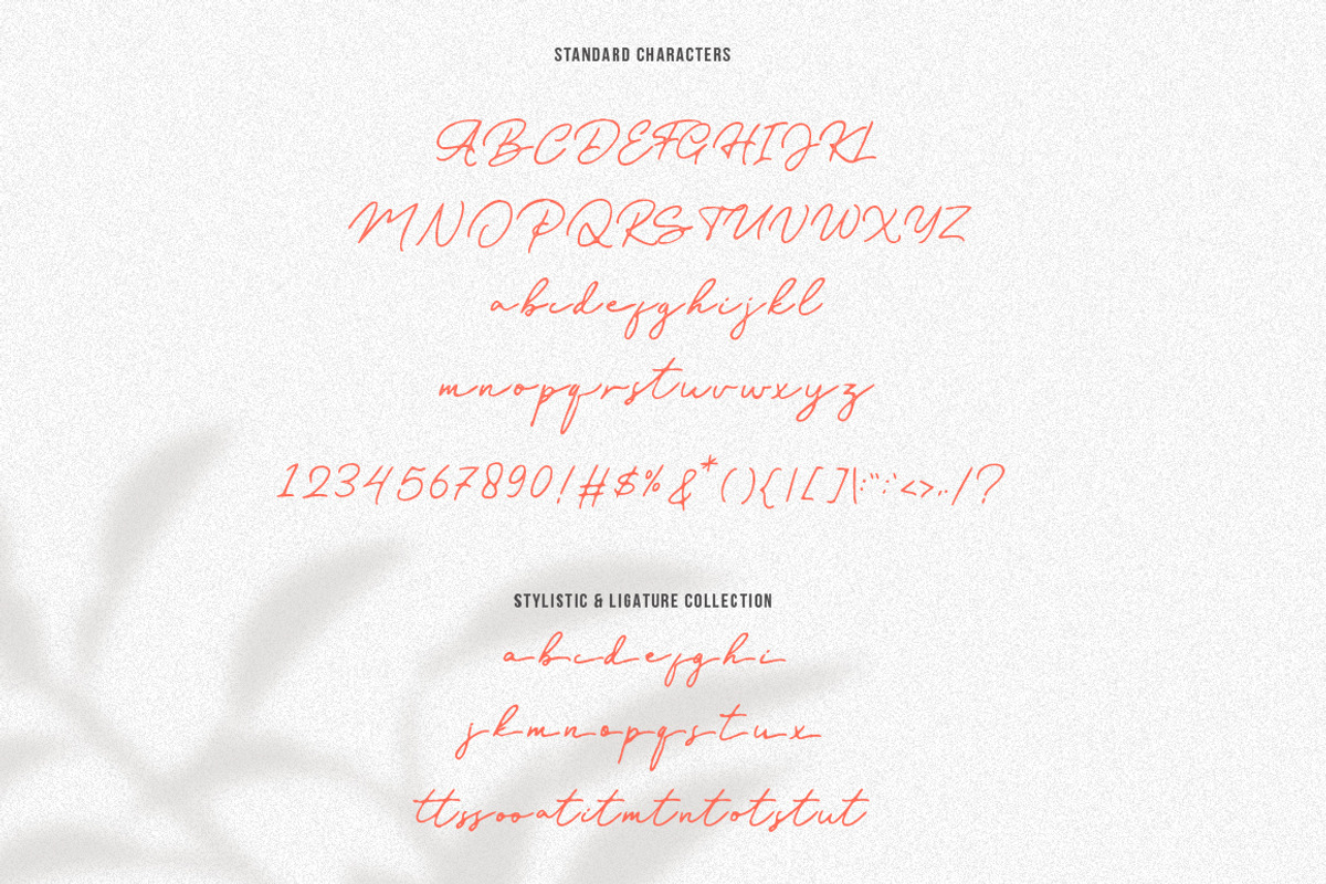 Old Bridges - Vintage Signature Font, a Script Font by Vultype Co. (Photo 12 of 13)
