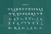 Aielenea - Elegant Luxury Serif Font, a Serif Font by Qweera Studio (Thumbnail 10 of 12)