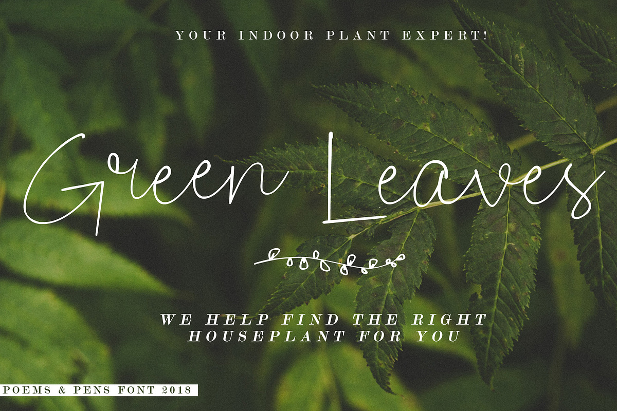 Poems & Pens Script Font preview 7
