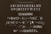 Muleno Slab Serif Font, a Serif Font by Storytype Studio (Thumbnail 13 of 15)