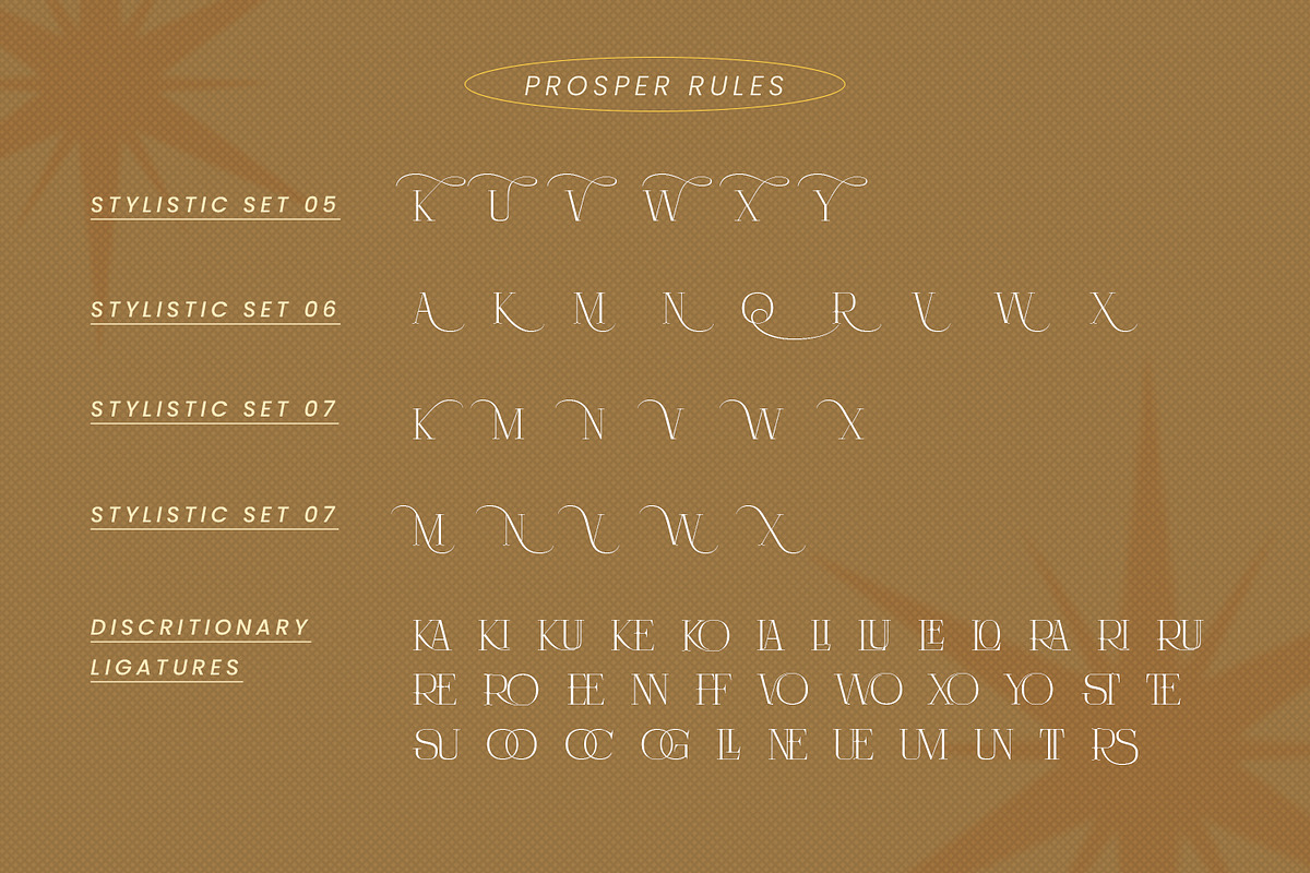 Prosper Rules, a Serif Font by Nathatype (Photo 11 of 11)