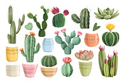 Watercolor Cactus, Succulent Clipart, an Object Illustration by ArtGiftsStudio (Thumbnail 2 of 4)