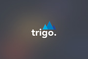 Trigo Logo Template, a Branding & Logo Template by Propex (Thumbnail 2 of 2)