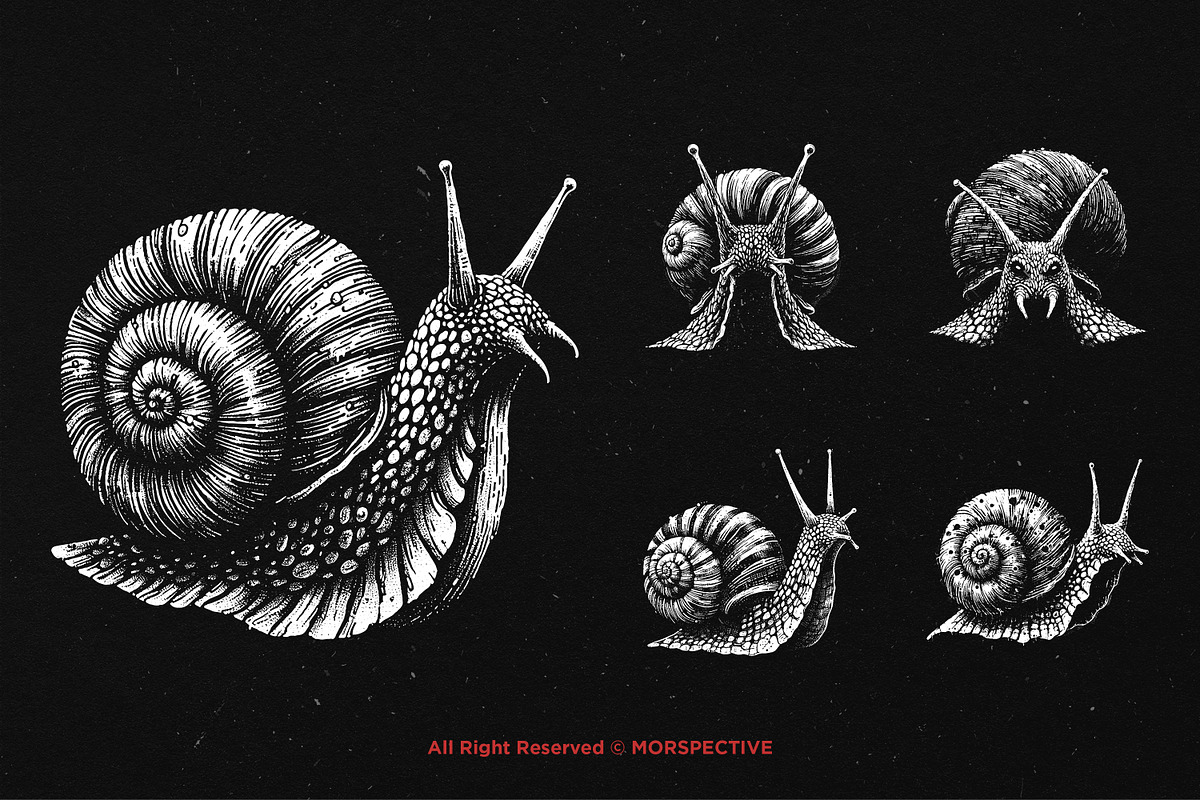 10 Bundle Dark Art Snail Mollusk, an Illustration by Morspective (Photo 5 of 7)