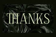 Celliqath Modern Display, a Serif Font by Storytype Studio (Thumbnail 15 of 15)
