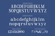 Delmora Elegant Display Serif Font, a Serif Font by Vadovastd (Thumbnail 2 of 8)